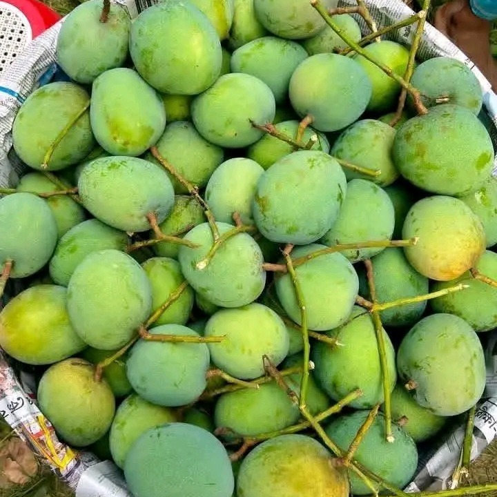 Labonno mart (1)