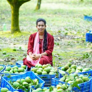 হাড়িভাঙ্গা আম